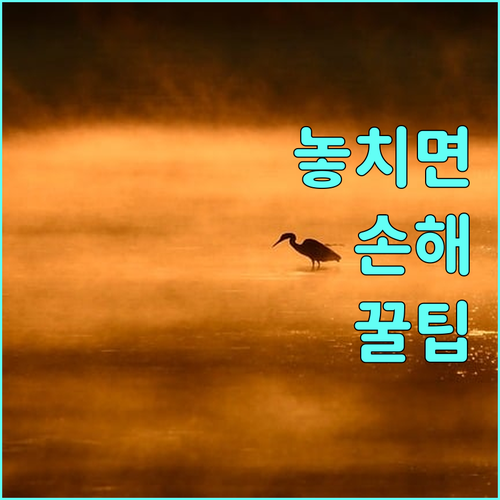 신청 없이 자동 지원 2025 부평구 건강보험료 혜택 확인