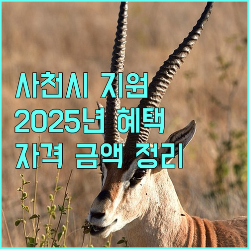 사천시 2025 전세보증금 지원, 신청 자격 및 지원 금액 완벽 정리