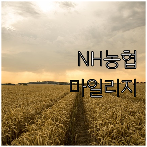 NH농협 마일리지 카드: 똑똑한 여행자를 위한 필수템