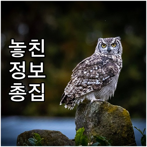 종로구 당주동 도시가스, 광림도시가스 고객센터 완벽 안내