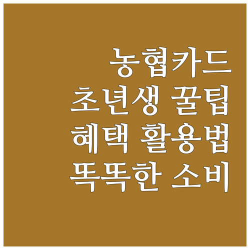 NH농협카드: 사회초년생 맞춤 혜택과 똑똑한 카드 사용법