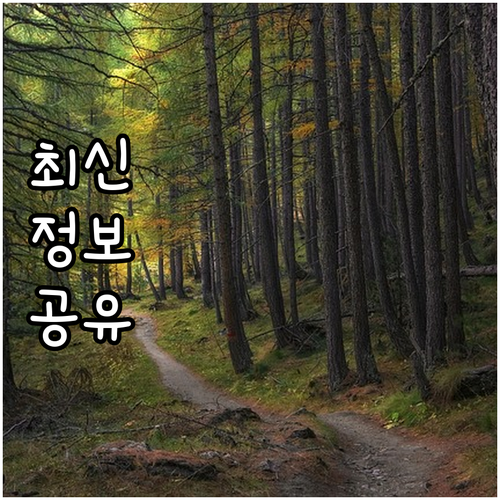 숭인동 도시가스 안전하게 이용 고객센터 필수 정보