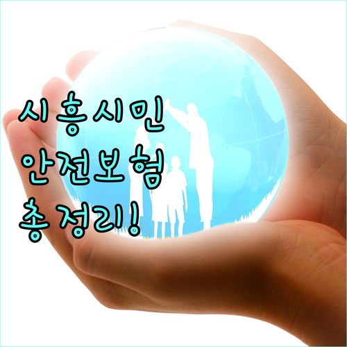 2025 시흥시 시민안전보험 완벽 가이드: 자동 가입, 보장 범위, 청구 방법
