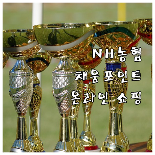 NH농협 채움포인트 사용 설명서: 온라인 쇼핑 알뜰하게 즐기기