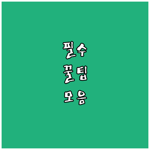 가스 냄새 맡았다면 서울 종로구 비상 대처 요령 총정리