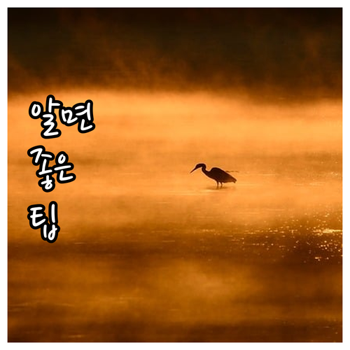 상왕십리 도시가스 궁금증 해소 자주 묻는 질문과 답변