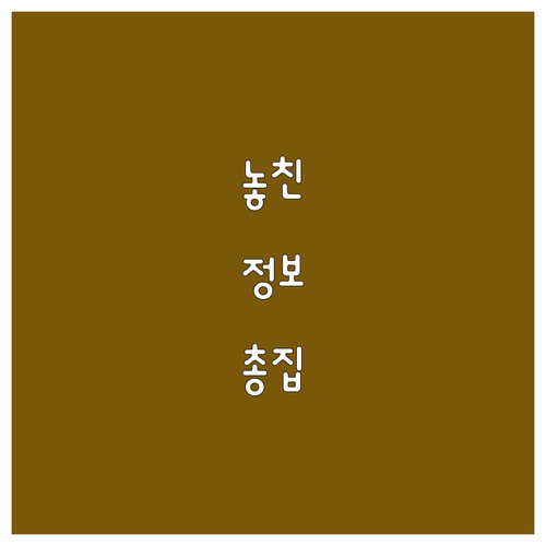 가스 냄새가 난다면? 창동 코원에너지서비스 긴급 대처 요령 즉시 확인
