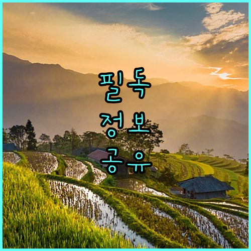 거제시 예비맘 주목 2025 기형아 검사비 2만원 지원 놓치지 마세요