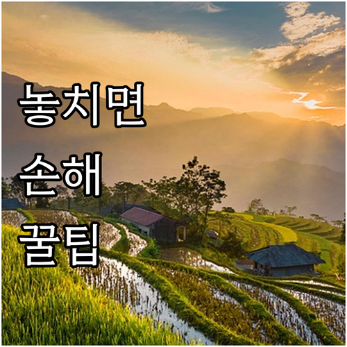 ESTA 21달러 인상? 환불 불가! 낭비 막는 필독 정보
