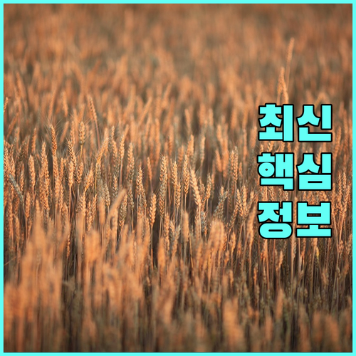 성남시 2025 학대아동 지원 | 의료비 생필품 현물로 바로 해결