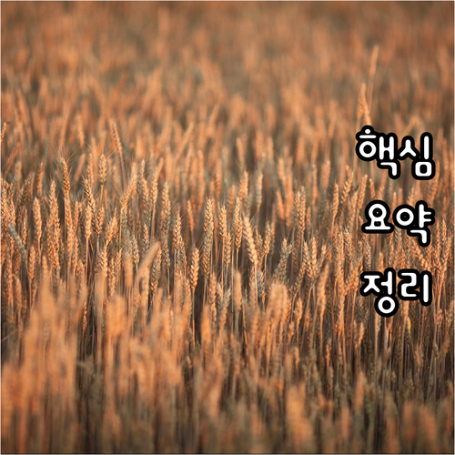 국민도시가스 돈암동 긴급 신고 가스 누출 시 즉시 대처법