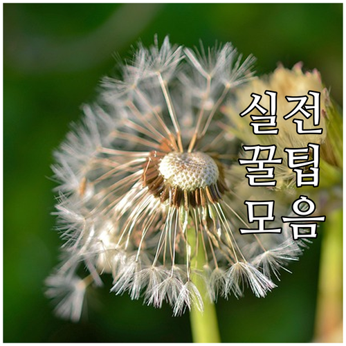 ESTA 21달러 결제 후 사기? 신용카드사에 즉시 연락!