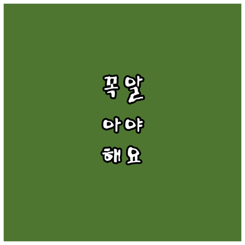 사설 대행 조심! 미국 ESTA 21달러 공식 신청 방법