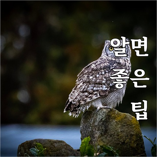 면목동 도시가스 요금 조회 납부 앱으로 더 편리하게