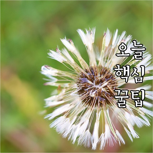 도봉구 쌍문동 도시가스 이사? 안전하게 연결하는 법