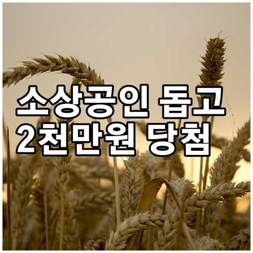 소상공인 돕고 2천만원 당첨 상생소비복권 완벽 분석