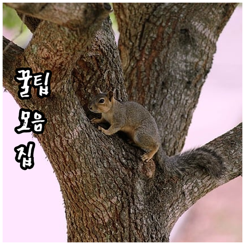 도시가스 요금 조회 납부 방법 대륜이엔에스