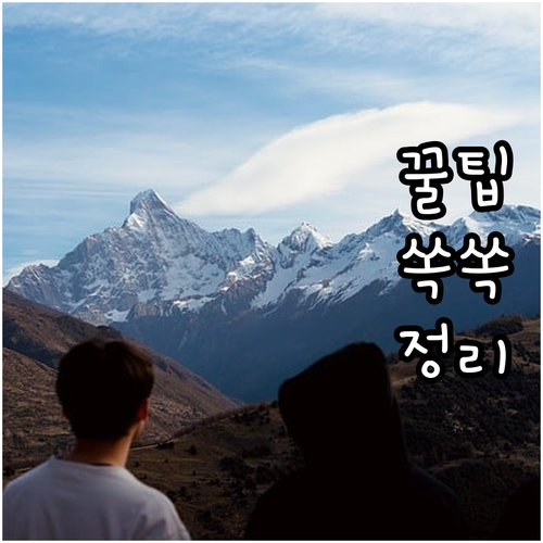 ESTA 수수료 인상 악용 환불 사기 공식 사이트만 확인