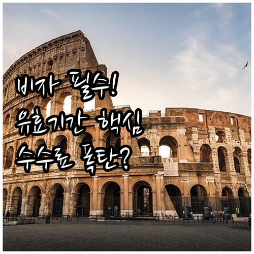 ESTA와 비자 수수료 발급 절차 유효기간 심층 분석