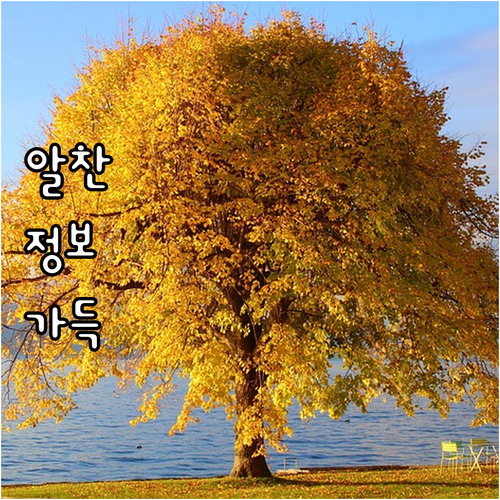 보문동 예스코 도시가스 전입/전출, 가장 쉬운 신청 방법
