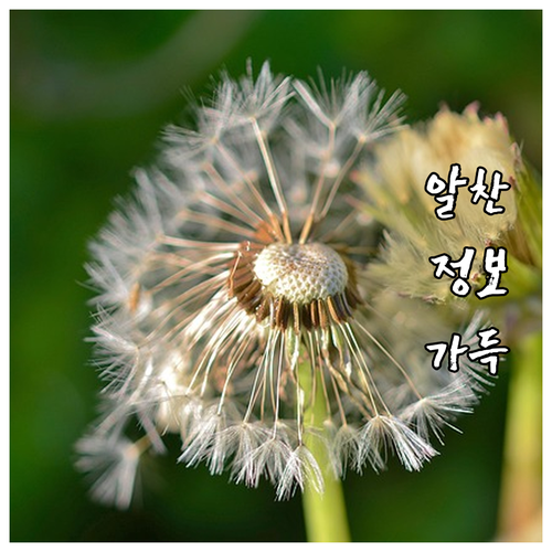 수유동 도시가스 이사? 연결 철거 절차와 예약 팁