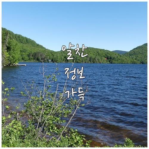 ESTA 수수료 인상 대비 여권과 공식 사이트 확인