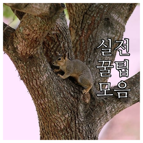 동대문 예스코 도시가스 자주 이용하는 서비스 총정리