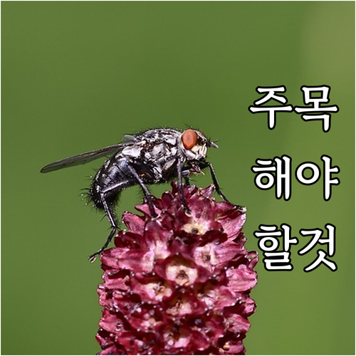 서울 중구 주교동 도시가스 중부고객센터 완전 정복