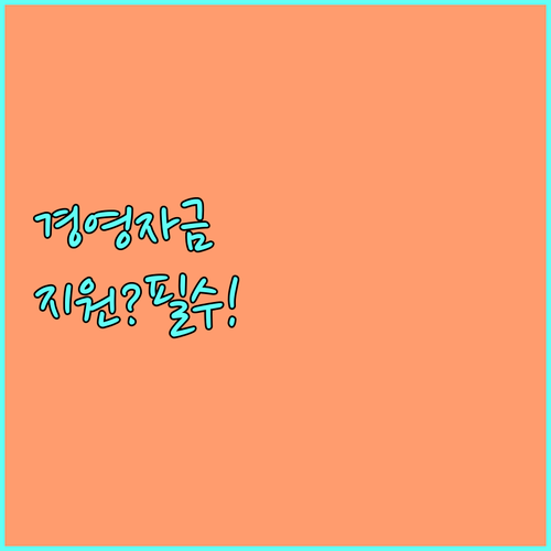 2025 대전 서구 소상공인이라면? 경영안정자금 지원 사업 확인!