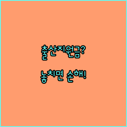 천안시 여성장애인 출산지원금 2025, 읍면동 주민센터에서 신청