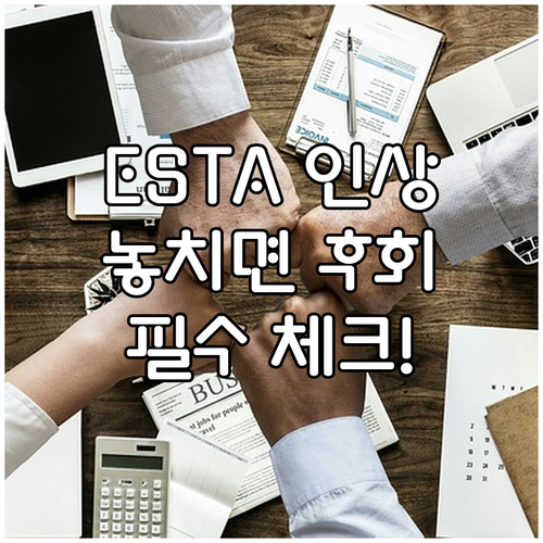 ESTA 수수료 인상, 폭증하는 신청과 현명한 대처법