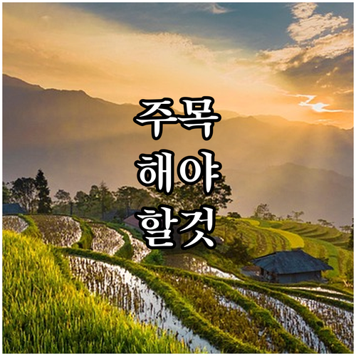 당신도 상생페이백복권 당첨 주인공? 지금 확인하세요