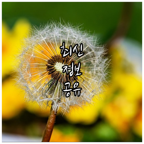 종암동 도시가스 요금, 자동이체부터 신용카드 납부까지