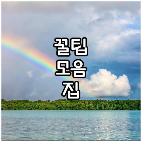 예스코 도시가스 이사? 안전 점검 필수 정보 확인!