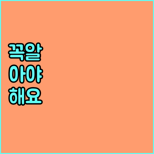 분만 취약 지역 임산부 2025 강원 찾아가는 산부인과 해결책