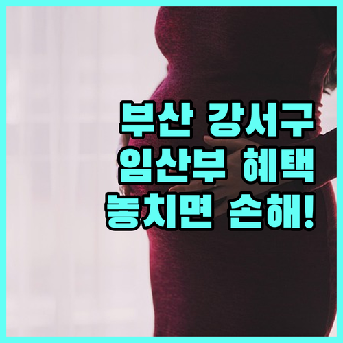 부산 강서구 임산부 건강 지원 서비스 2025년 총정리