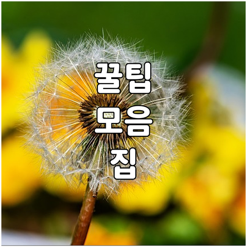 이사 준비 하월곡동 도시가스 요금 점검 완벽 해결