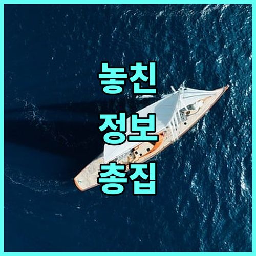 2025 대구 동구 임신 준비 출산 지원 신청 방법 확인