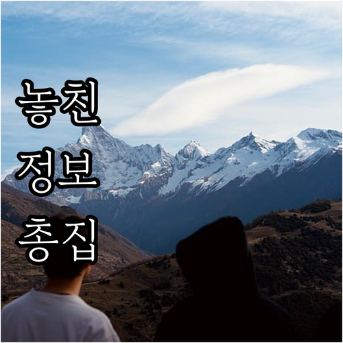 남창동 도시가스 이사 전출입 신청 절차와 전화번호