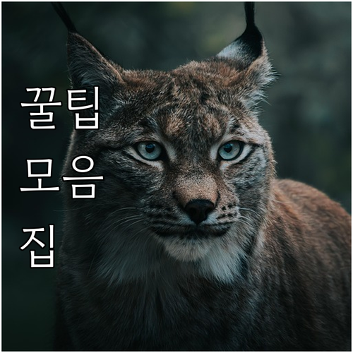 오장동 도시가스 궁금증 해결! 남산종합가스 서비스 안내