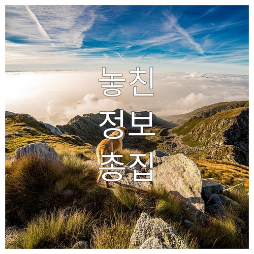 ESTA 수수료 21달러 인상, 사용자 검색 변화 분석