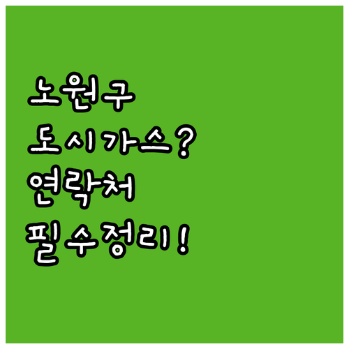 서울 노원구 공릉동 도시가스, 대륜이엔에스 고객센터 연락처와 서비스 안내