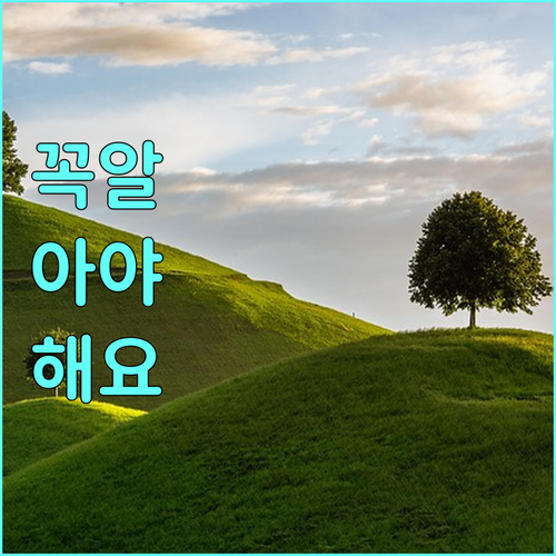 2025 동작구민 친환경차 구매 80만원 보조금 놓치지 않는 법