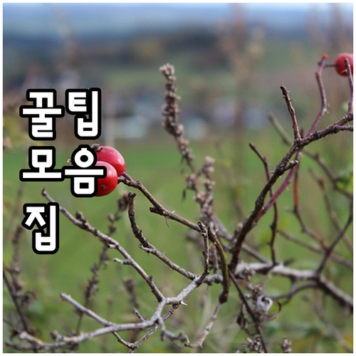 성북동 예스코 도시가스 이사 절차, 안전 수칙, 요금 총정리