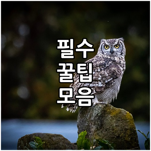 사근동 도시가스 요금 관리 조회부터 납부까지 쉽게