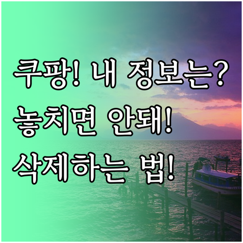 쿠팡 데이터 처리 현황 확인 개인정보 열람 요청 및 삭제 권리