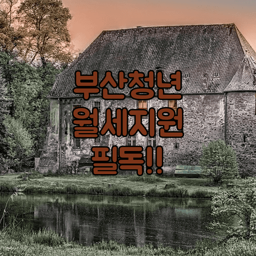 부산시 2026 청년월세지원금 신청 방법과 대상자 소득 요건 안내