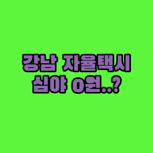강남 전역 자율주행 택시 도입 및 심야 운행 시간 비용 정보