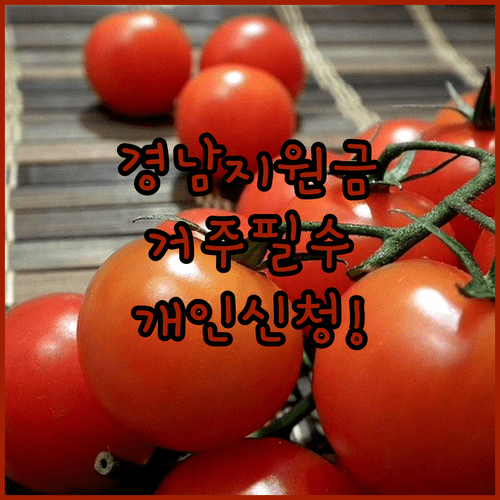 경남 생활지원금 거주 요건과 성인 개인별 지급 절차