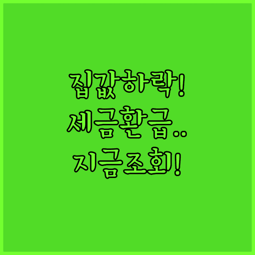 집값 하락 시 재산세 환급 받는 법 | 위택스 미환급금 조회